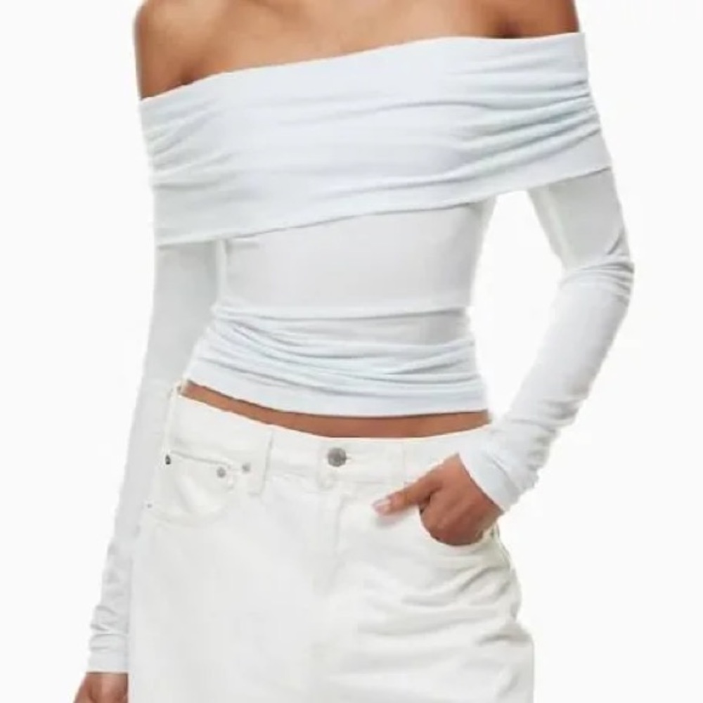 Aritzia Top
